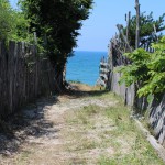 IMG_0700