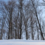 IMG_2093