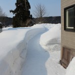 IMG_2096