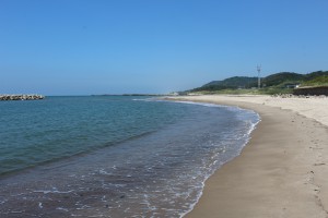 IMG_0704