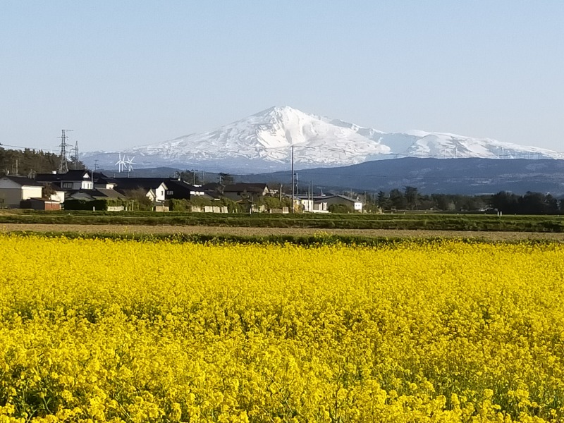 菜の花と鳥海山 由利本荘市 移住 定住応援サイト