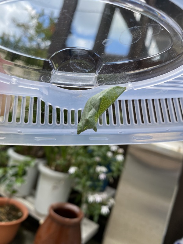 共存 由利本荘市 移住 定住応援サイト