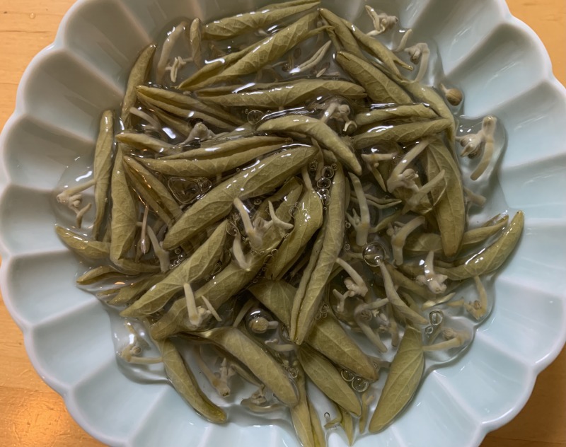 由利本荘市大内産 じゅんさい 由利本荘市 移住 定住応援サイト