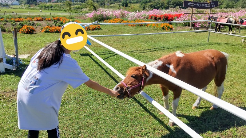 花立牧場公園に行ってきました 由利本荘市 移住 定住応援サイト