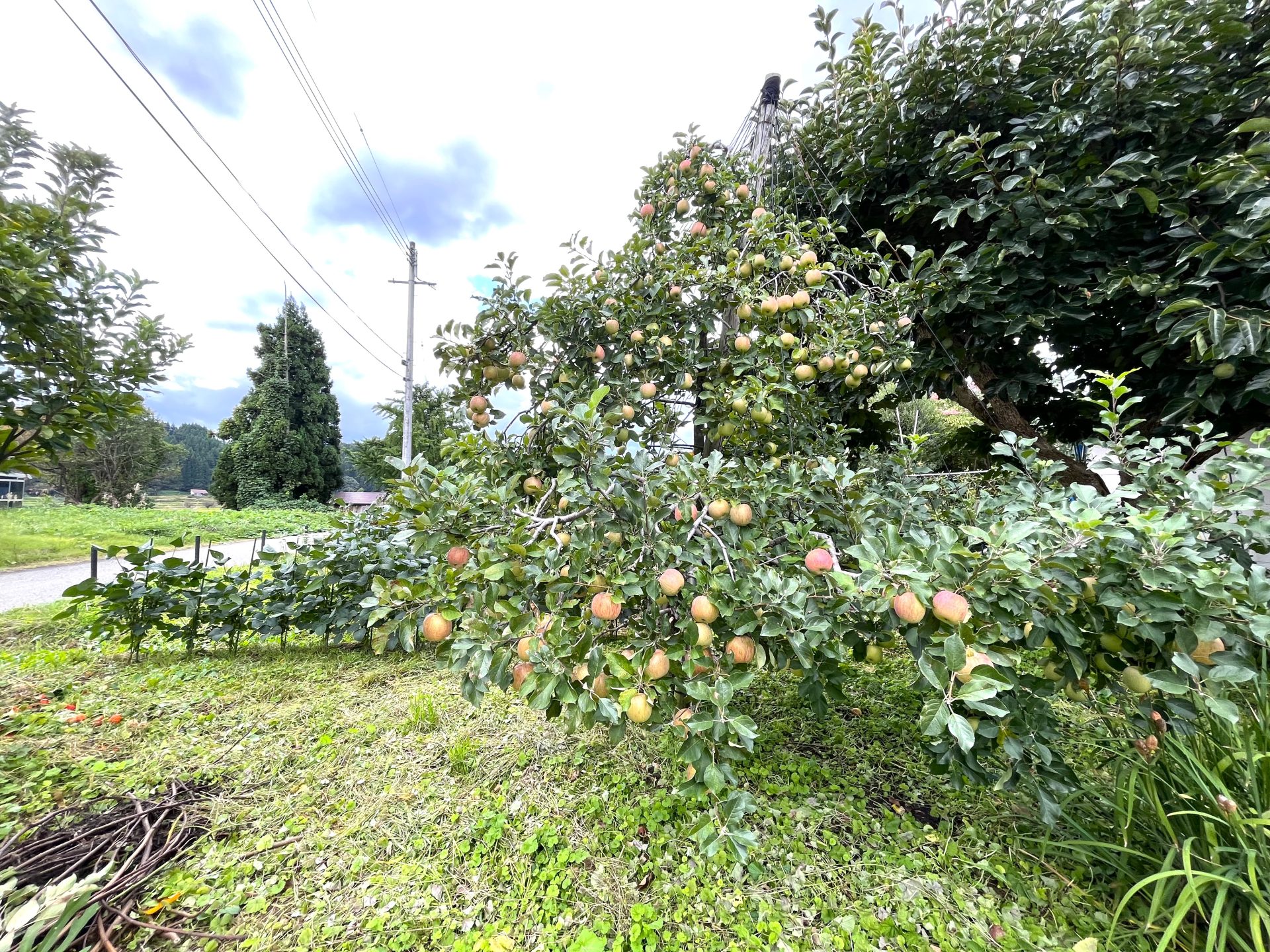 R05-11 写真 (19)