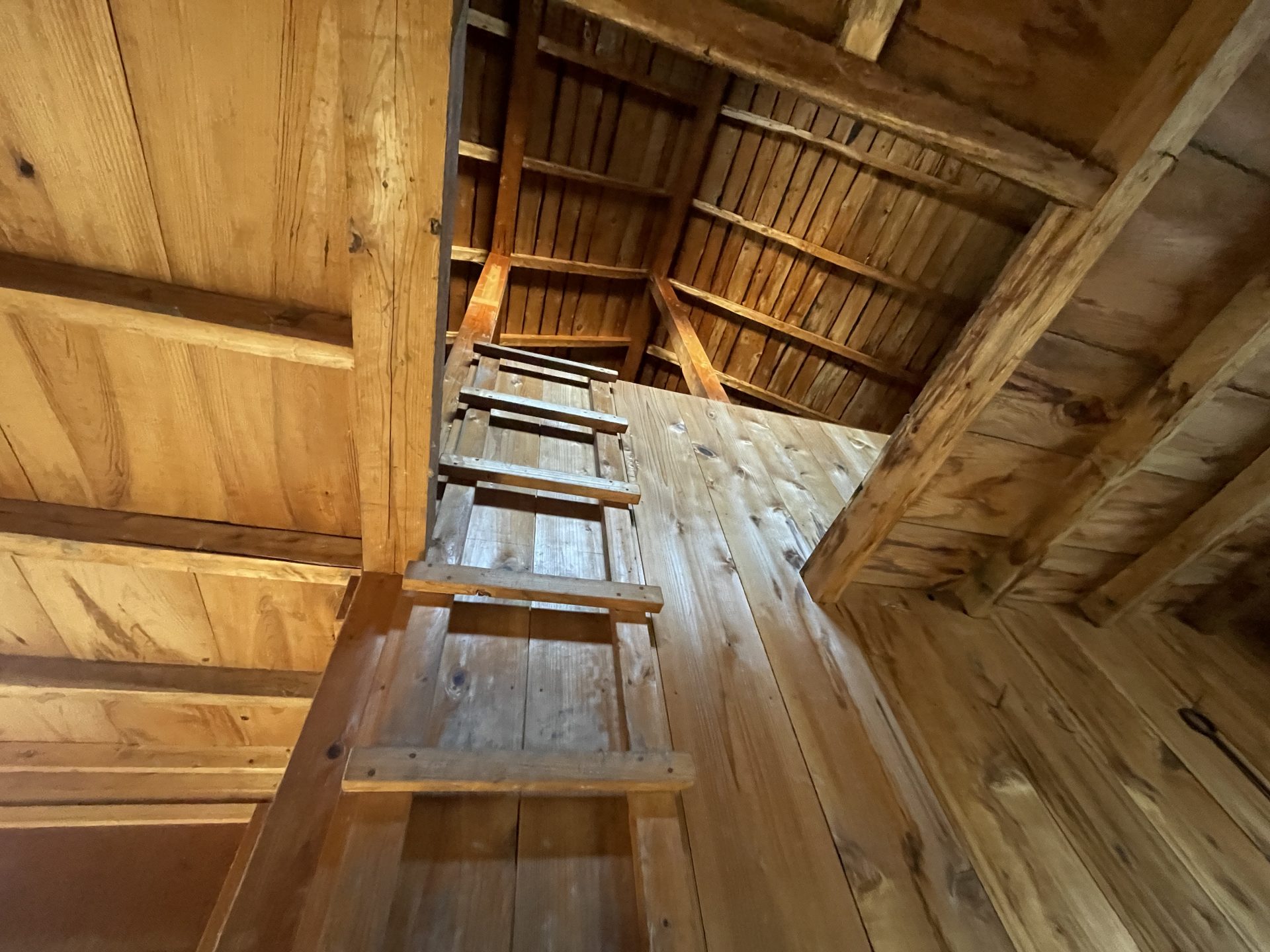 サイト掲載 (33)