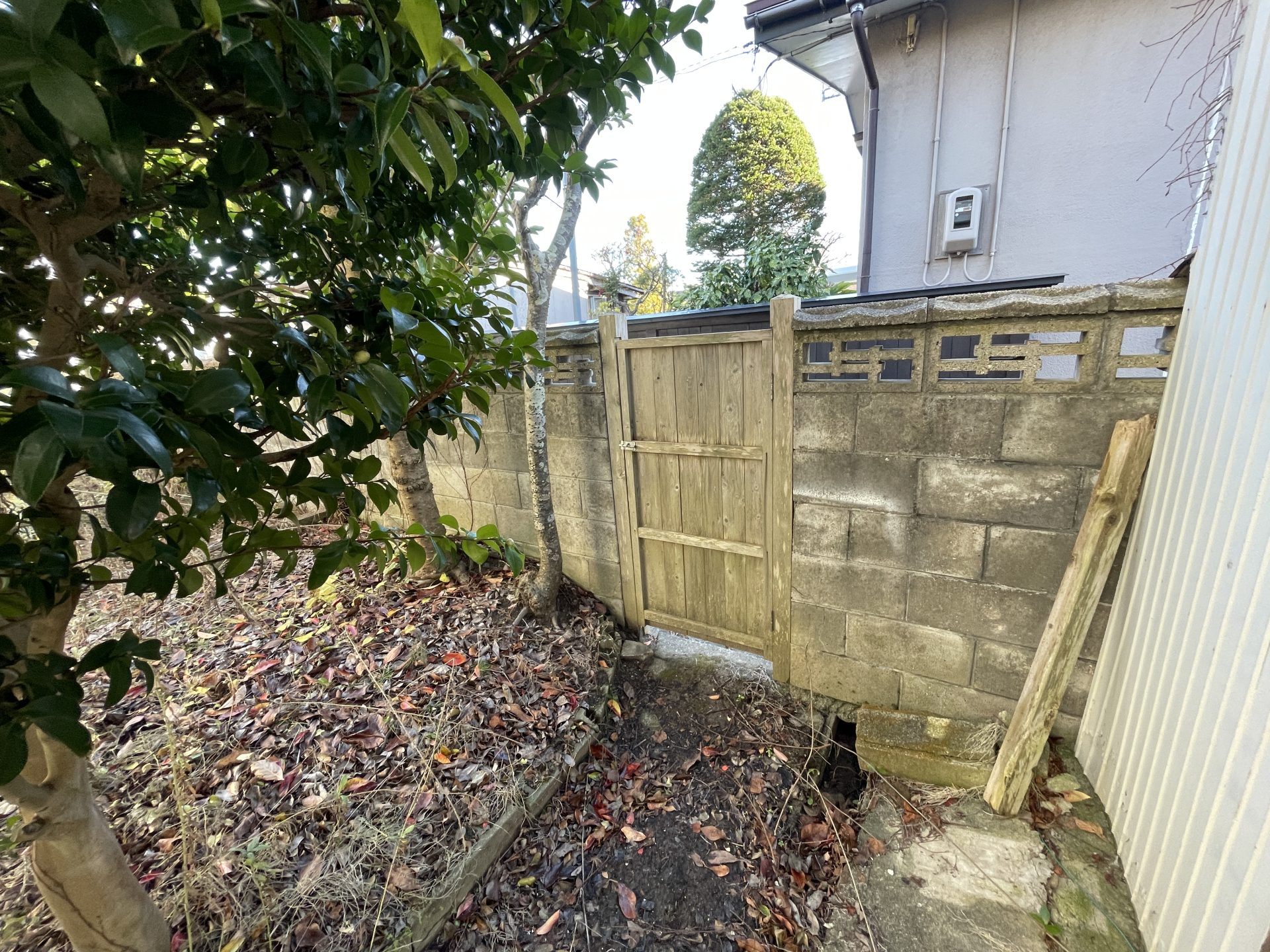 サイト掲載 (39)