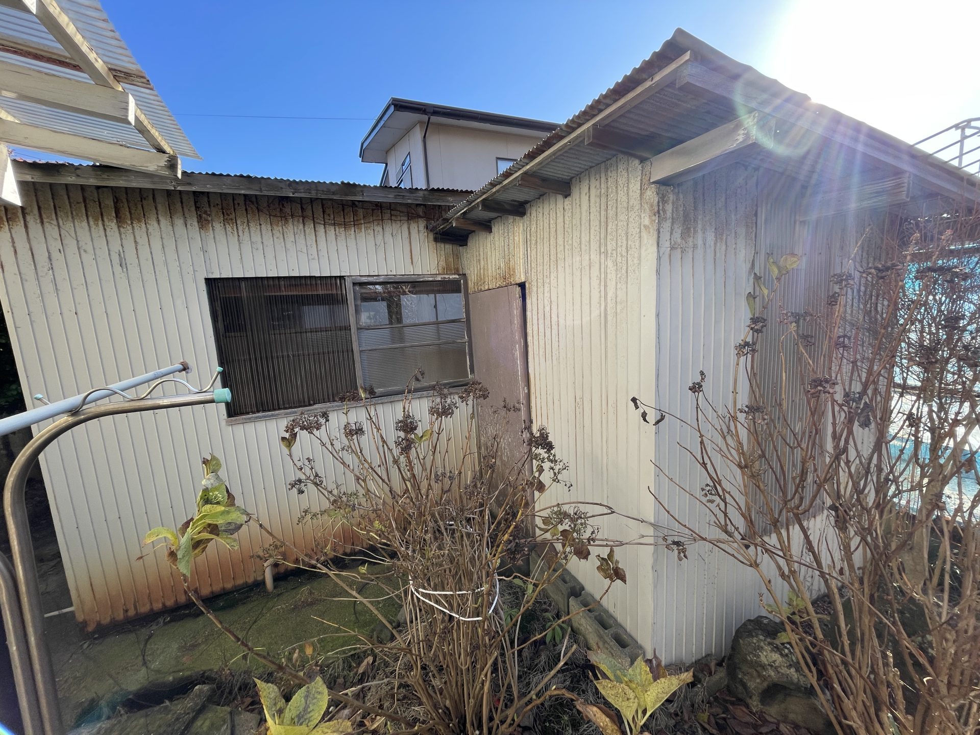 サイト掲載 (36)