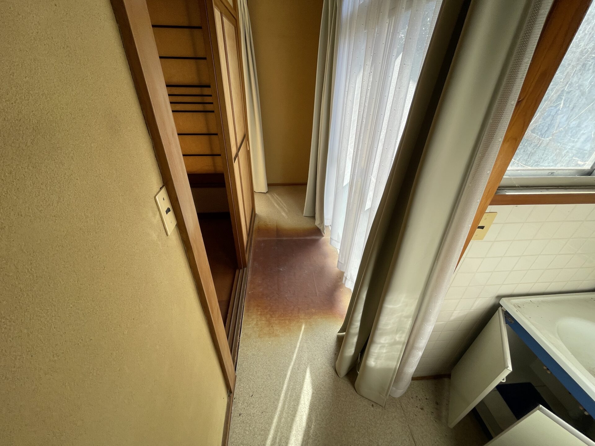 サイト掲載用 (11)