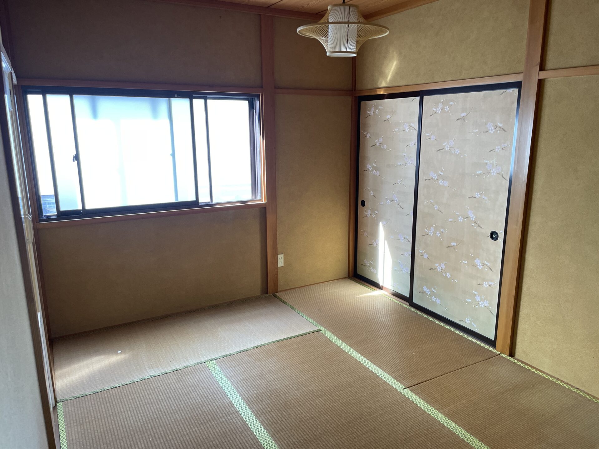 ネット掲載用 (18)